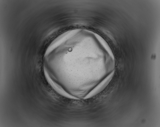 X0000101101015200807171907