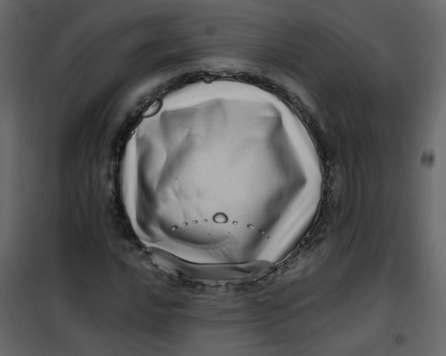 X0000101101016200807171907