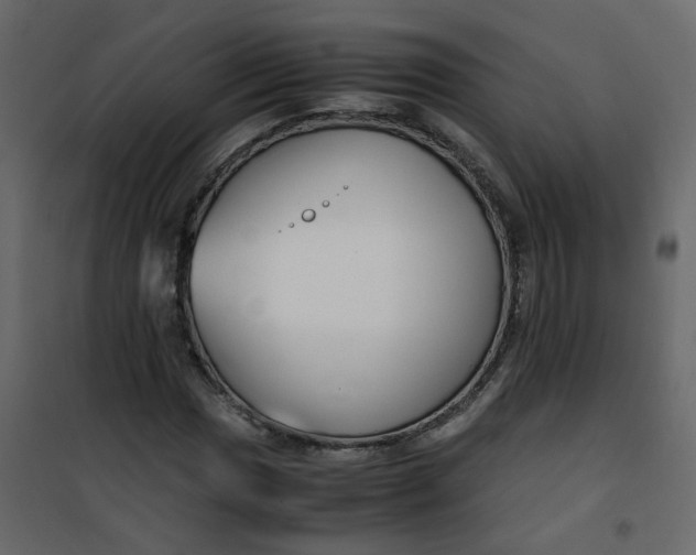 X0000101101017200807171907