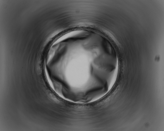 X0000101101018200807171907