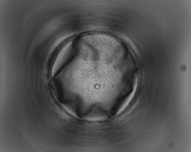 X0000101101019200807171907