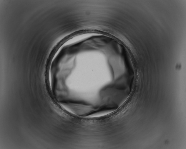 X0000101101020200807171907