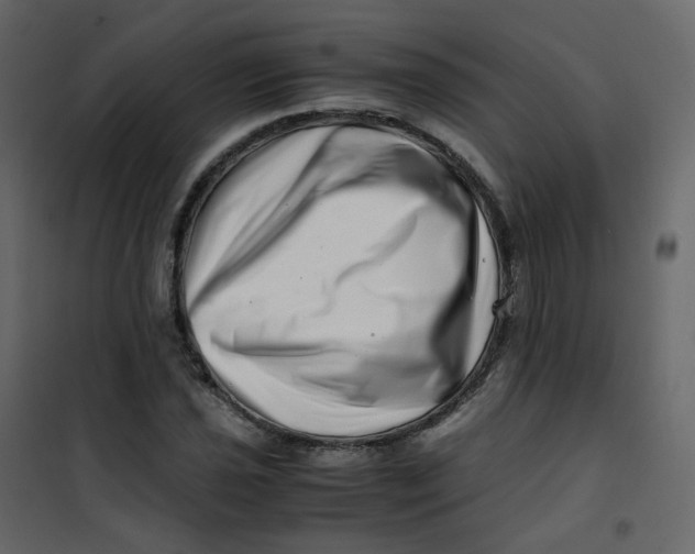 X0000101101021200807171907