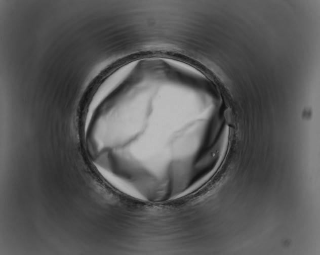 X0000101101022200807171907