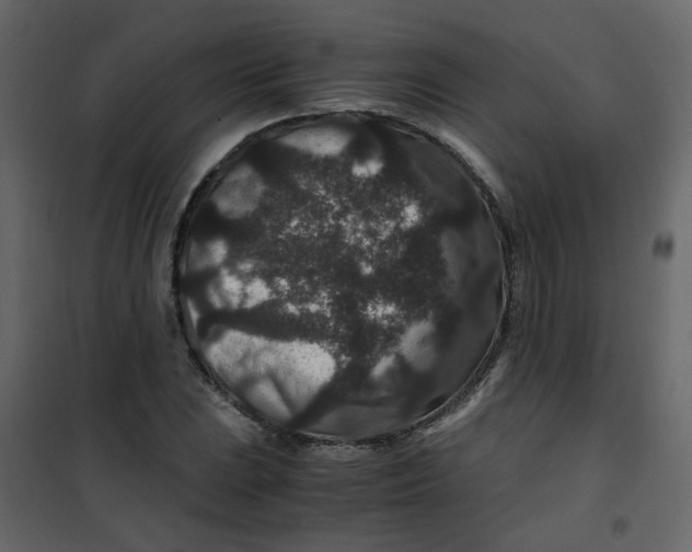 X0000101101023200807171907