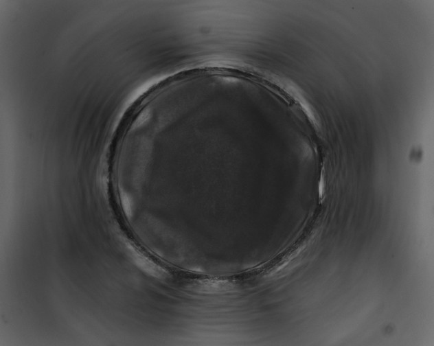 X0000101101024200807171907