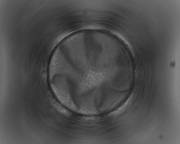 X0000101101025200807171907