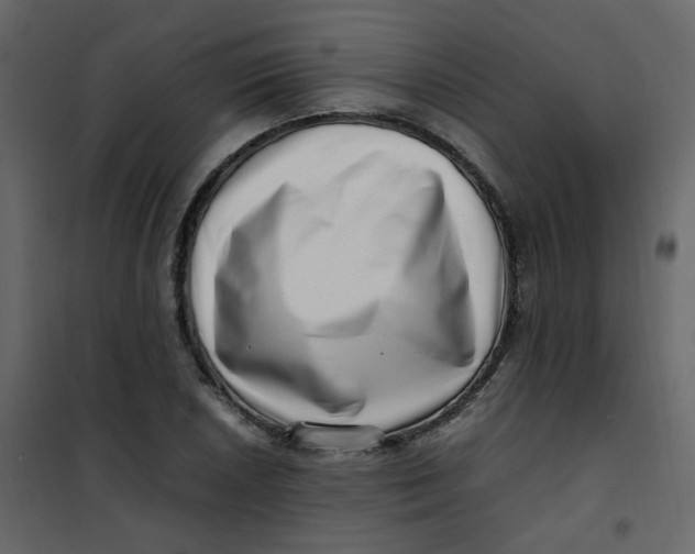 X0000101101026200807171907