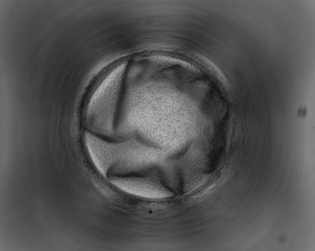 X0000101101027200807171907