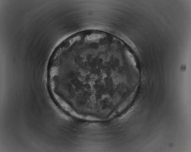 X0000101101028200807171907