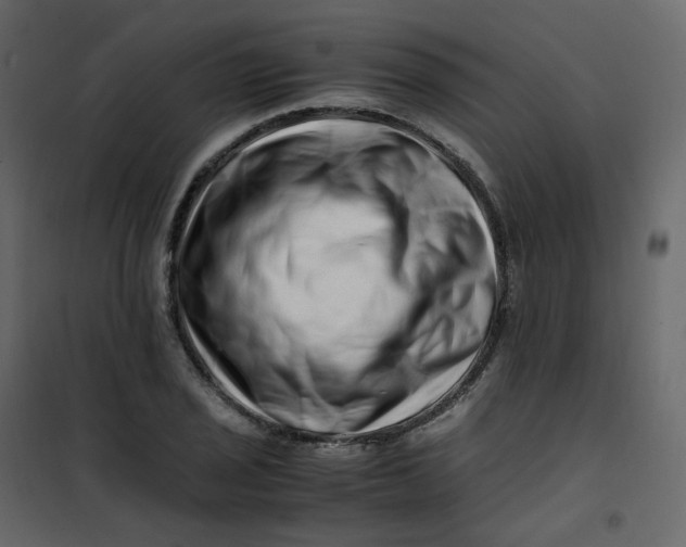 X0000101101029200807171907