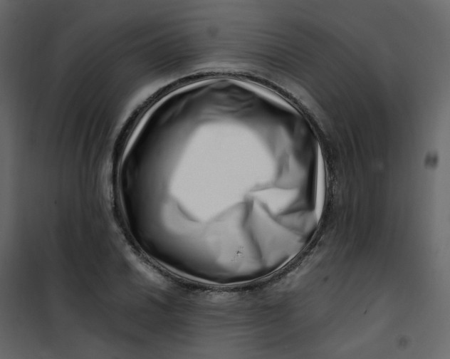 X0000101101030200807171907