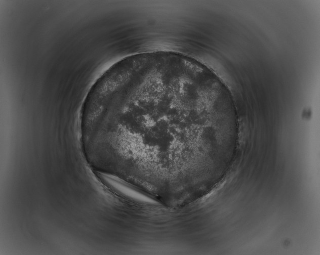 X0000101101031200807171907