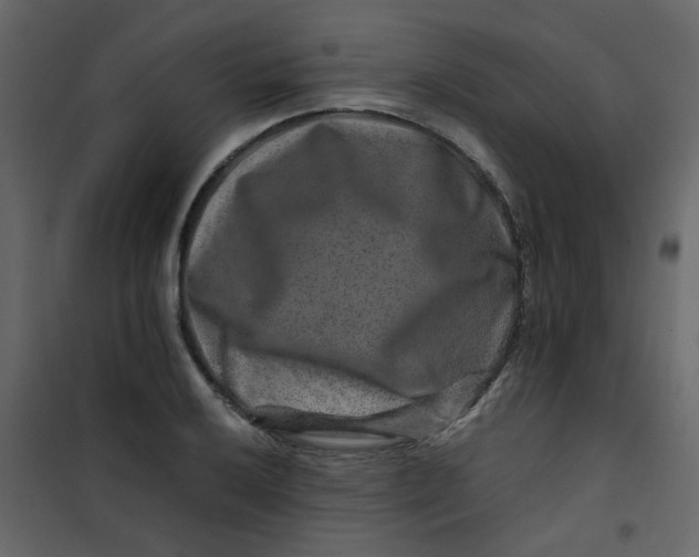 X0000101101032200807171907