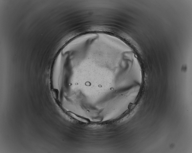 X0000101101033200807171907