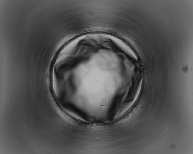 X0000101101034200807171907