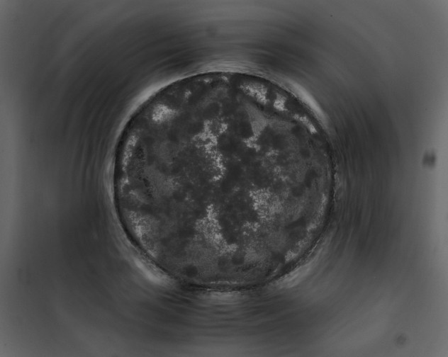 X0000101101035200807171907