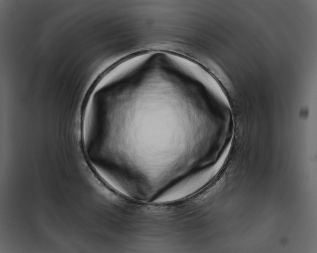 X0000101101036200807171907