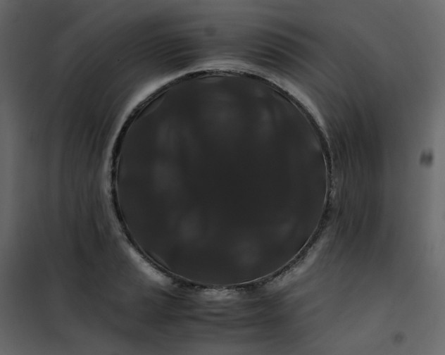 X0000101101037200807171907