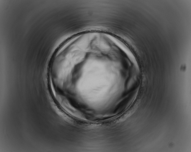 X0000101101038200807171907