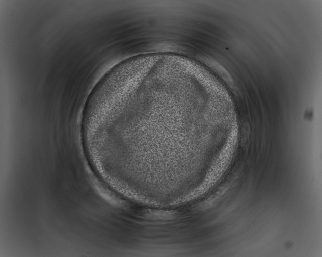 X0000101101039200807171907