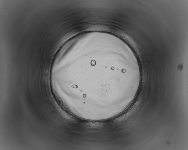 X0000101101041200807171907