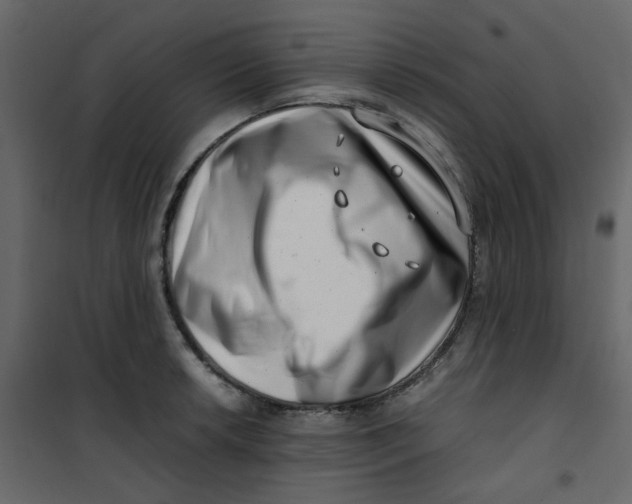 X0000101101042200807171907