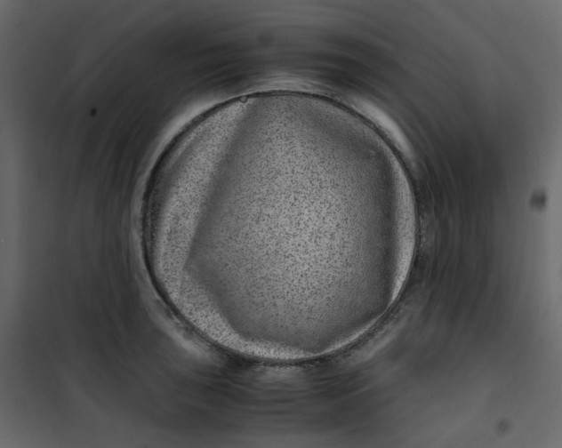 X0000101101043200807171907