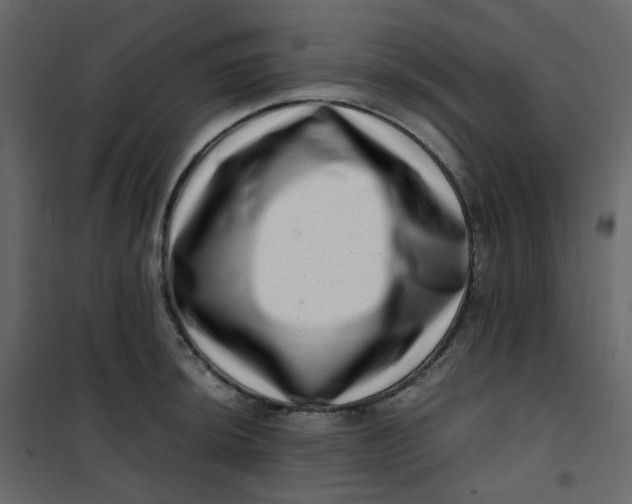 X0000101101044200807171907