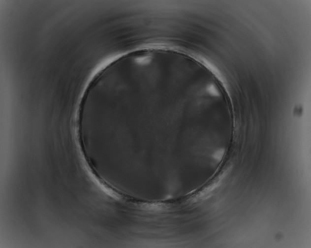 X0000101101045200807171907