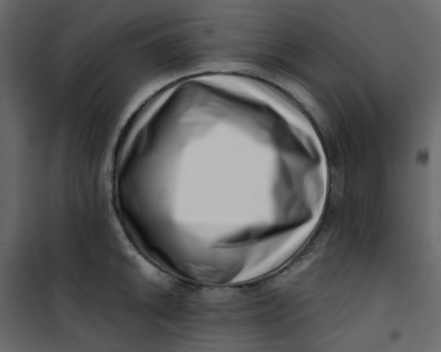 X0000101101046200807171907