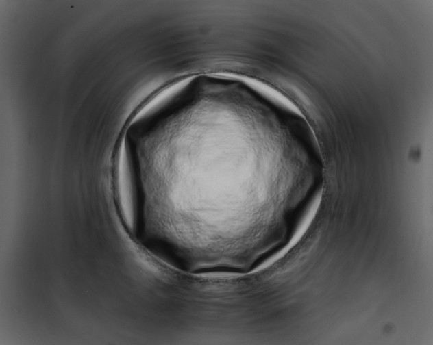 X0000101101047200807171907