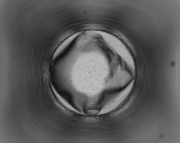 X0000101101049200807171907