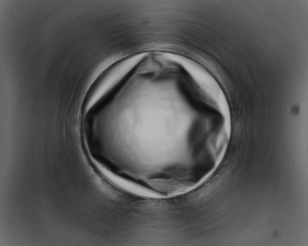 X0000101101050200807171907