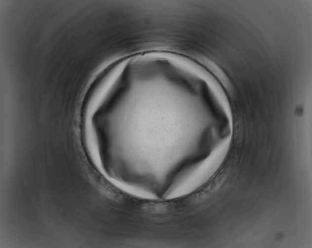 X0000101101051200807171907