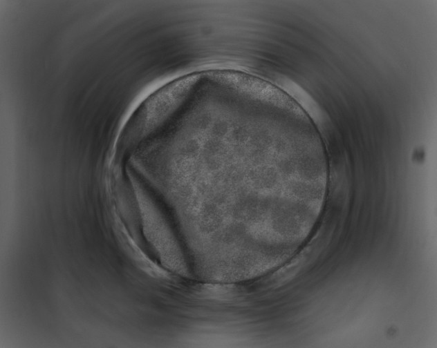 X0000101101052200807171907