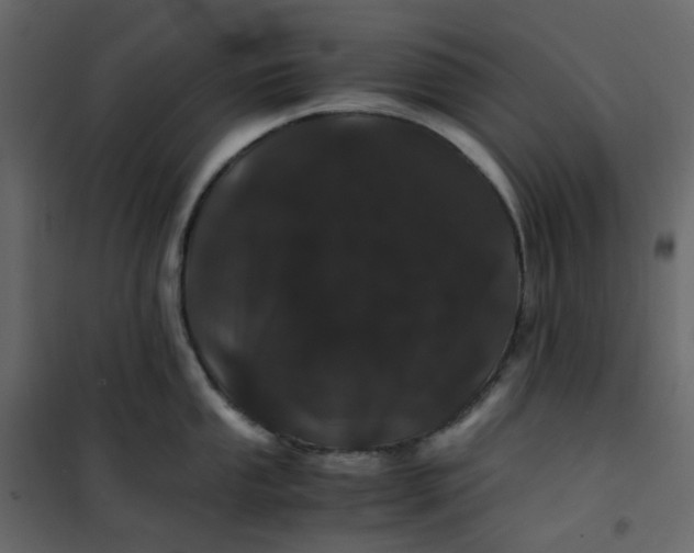 X0000101101053200807171907