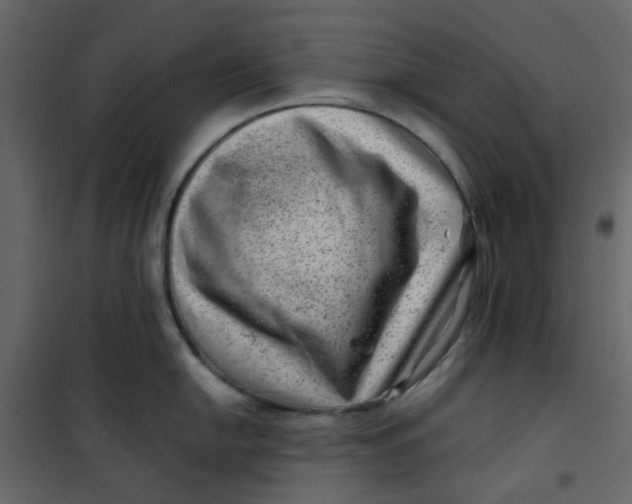 X0000101101054200807171907