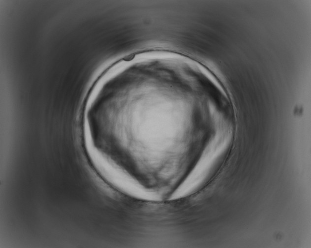 X0000101101056200807171907