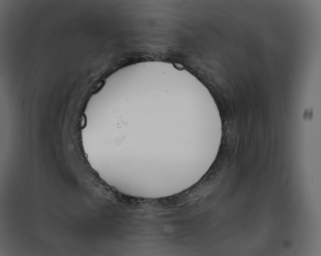 X0000101101057200807171907