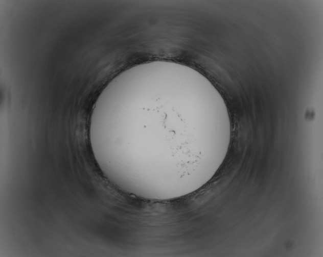 X0000101101058200807171907