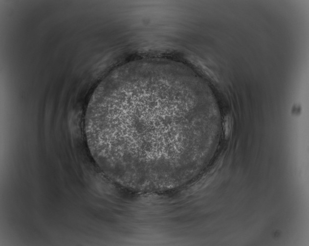 X0000101101059200807171907