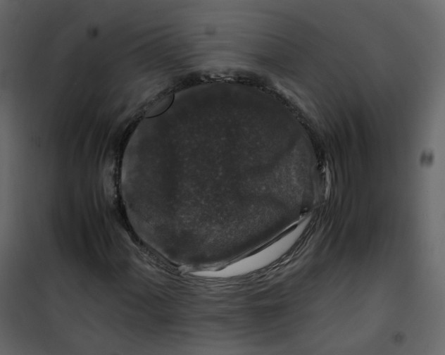 X0000101101060200807171907