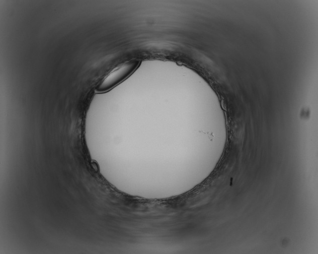 X0000101101061200807171906