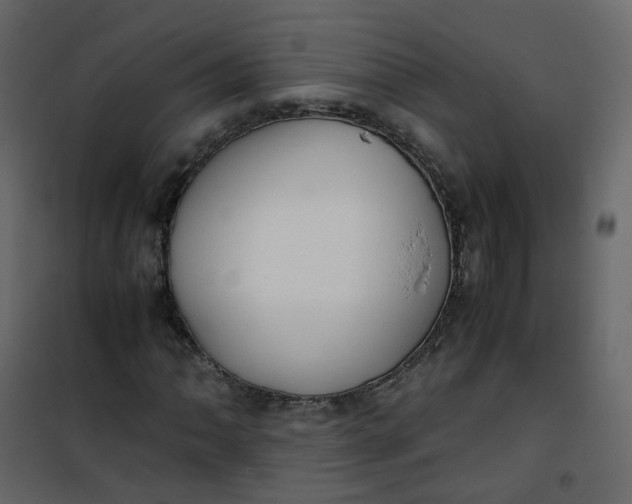 X0000101101062200807171906