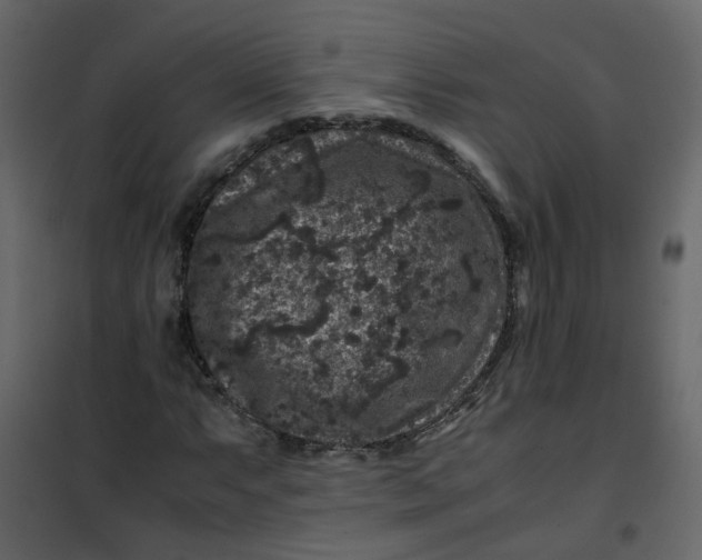 X0000101101063200807171906