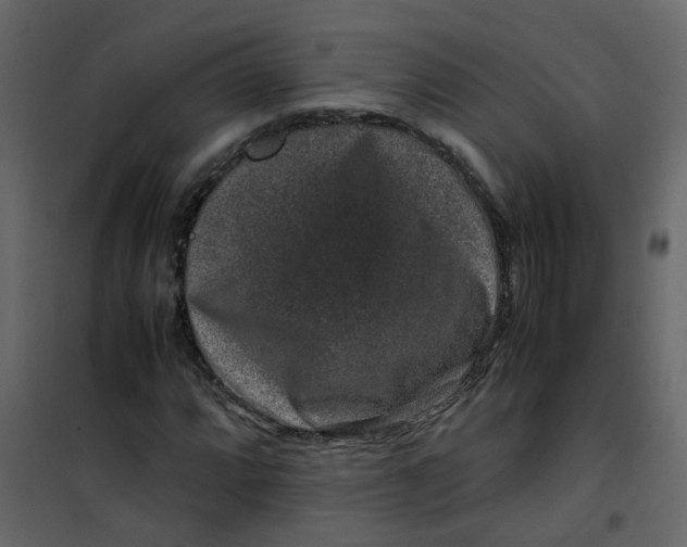 X0000101101064200807171906