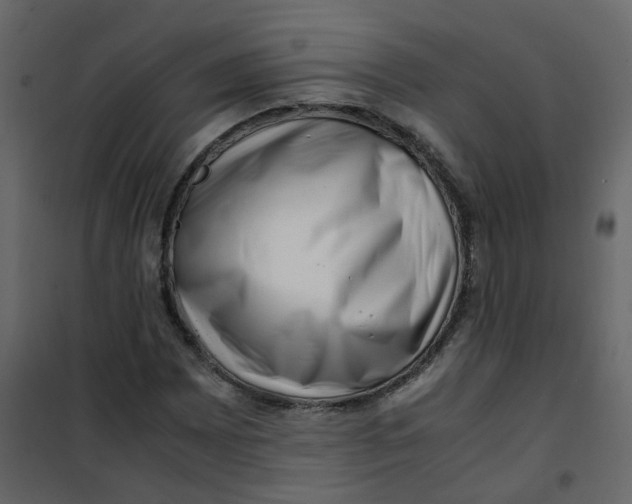 X0000101101065200807171906