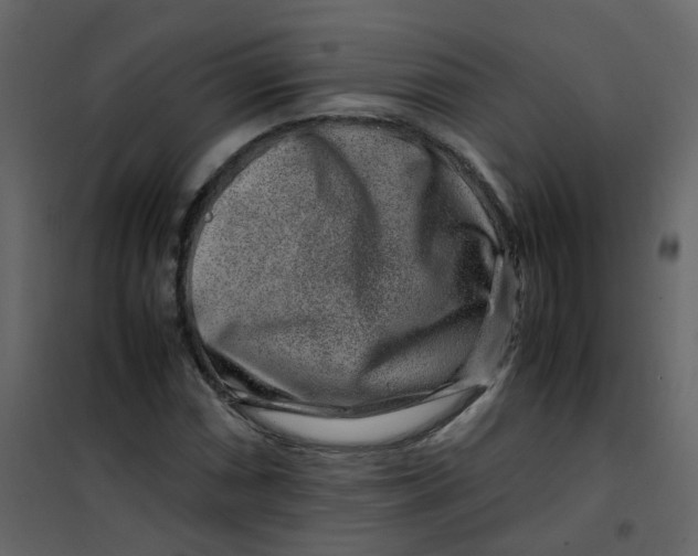 X0000101101066200807171906