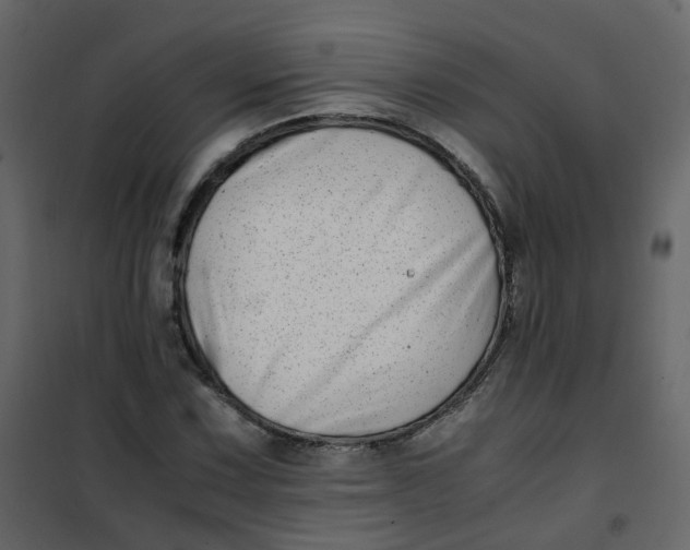 X0000101101067200807171906